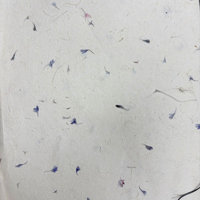 Papier d'Emballage Artisanal Lokta (51x76cm) - Bleuet
