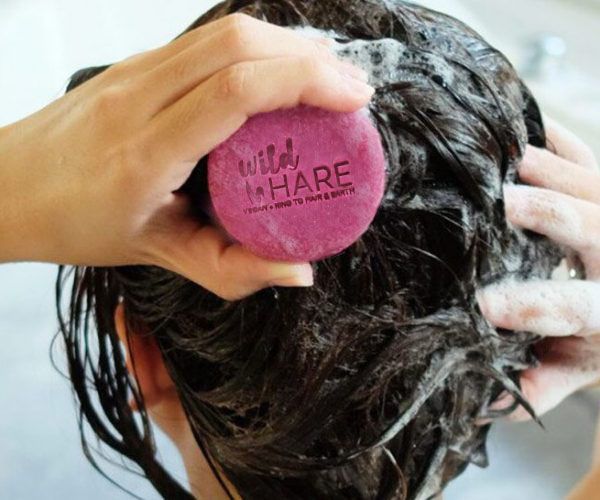 Pack Inicial Champôs Sólidos