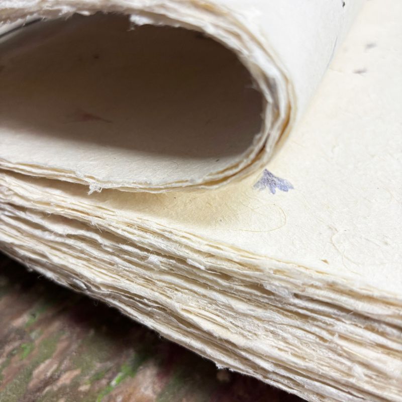 Papel Artesanal Lokta A4 (Pack 20 Folhas) - Calêndula
