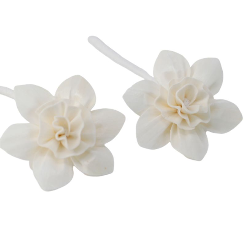 Diffuseurs Naturels Fleurs - Gd Lys Corde