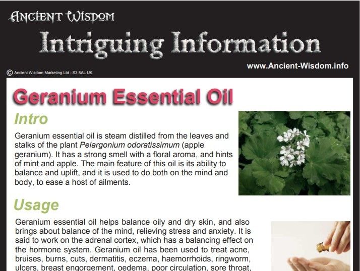 Geranium Essential Oil Info