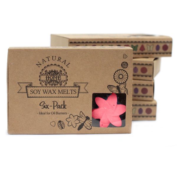 Boîte de 6 Fondants en Cire Soja - Rose Classique