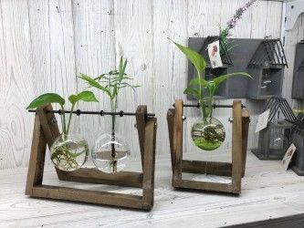 Hydroponic Home Décor Pots
