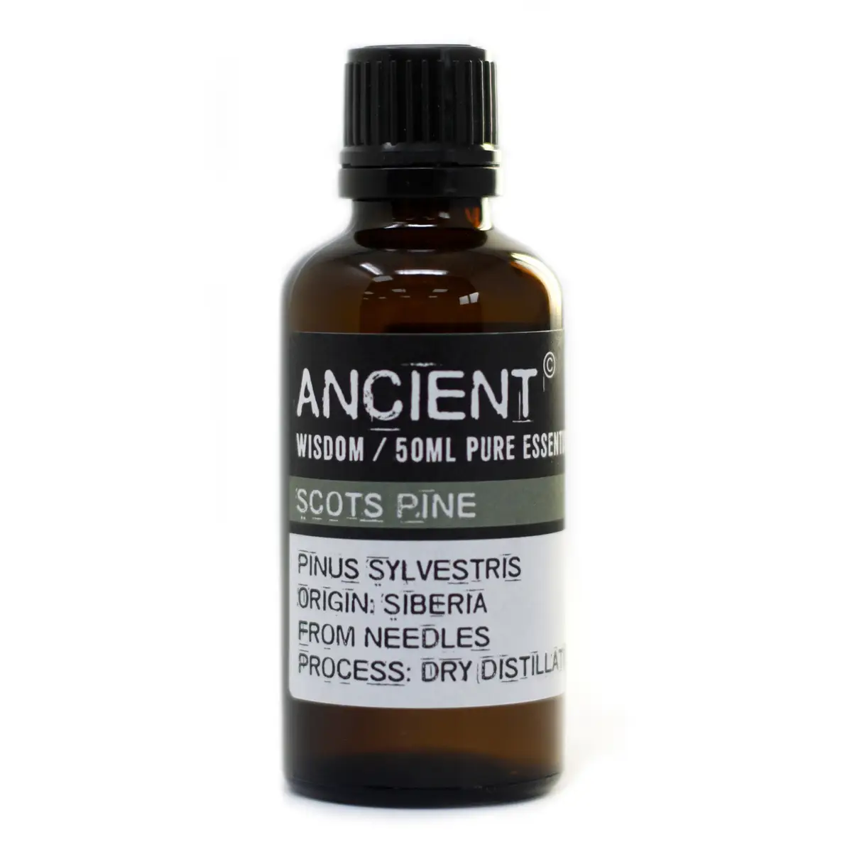 Pine Sylvestris (Scots Pine) 50ml Essential Oil — Essential Oils · GlowDuty apothecary