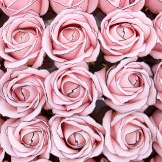 DIY Seifenblumen