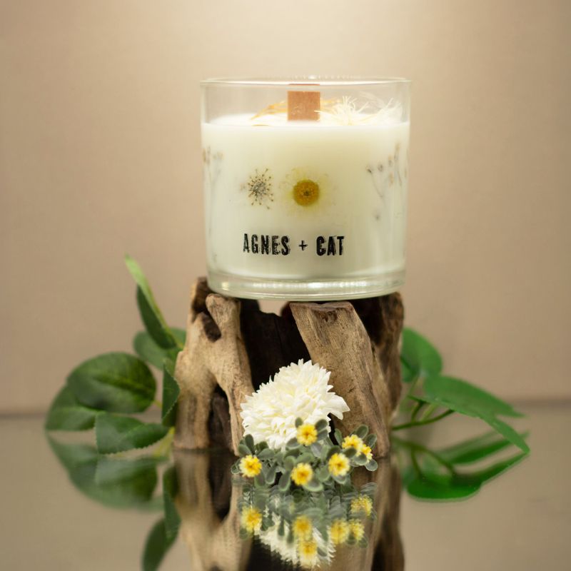Agnes + Cat Extra Large  Crackle Soy Candle - Windermere