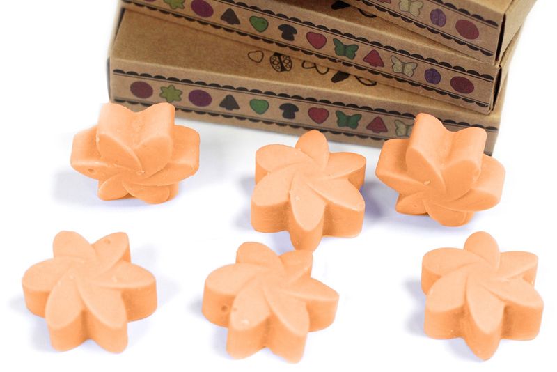 Boîte de 6 Fondants en Cire Soja -  Mangue