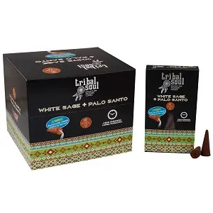Tribal Soul Backflow Incesne - White Sage + Palo Santo — Incense · GlowDuty apothecary