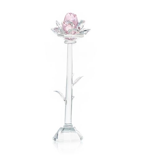Rose - Rose
