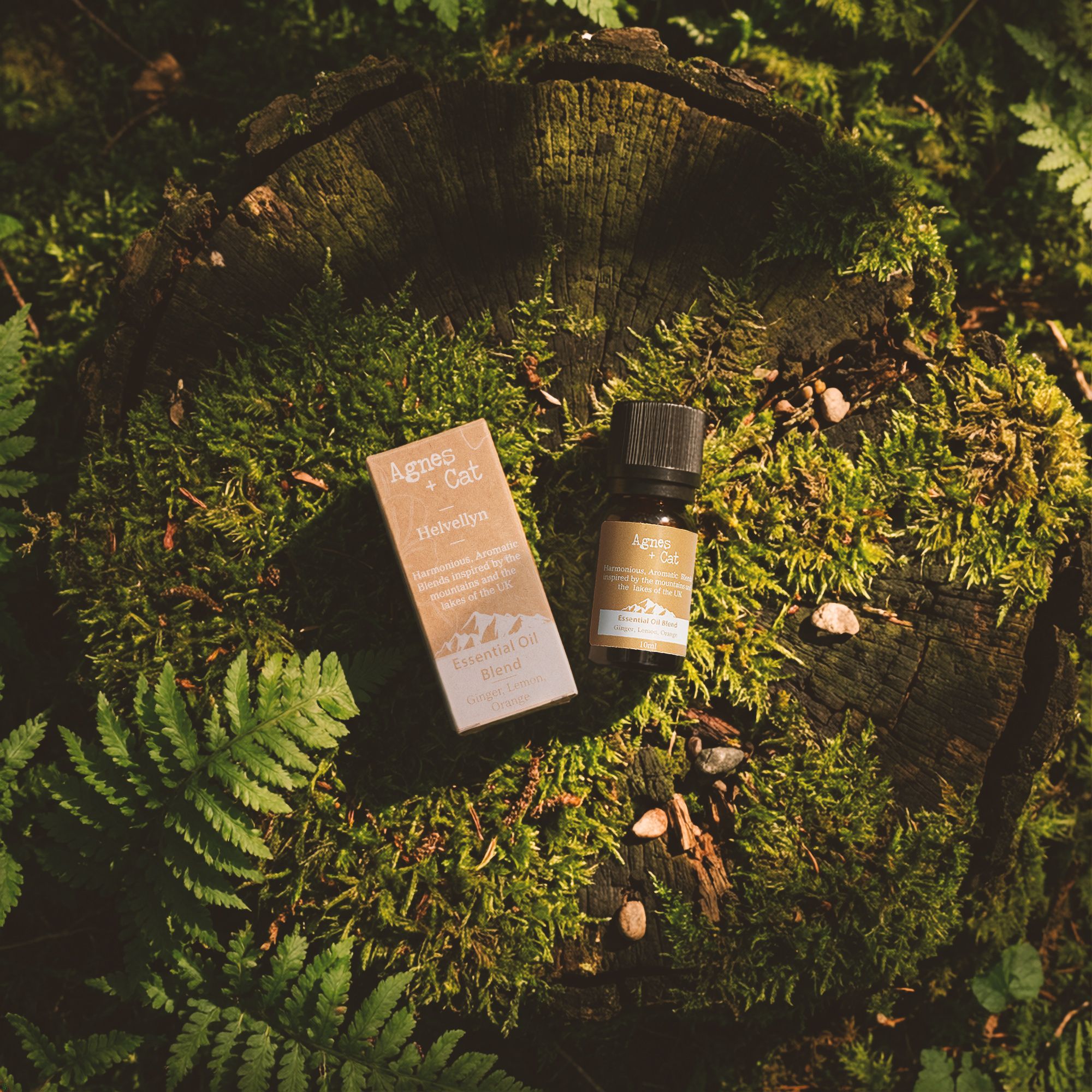 Mistura de Óleos Essenciais - Scafell Pike - Cipreste, Tangerina & Madeira de Ho