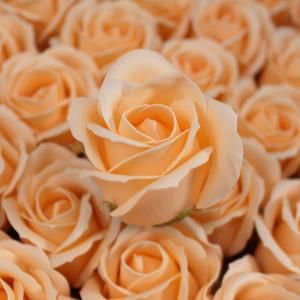Flores de Jabón Manualidades