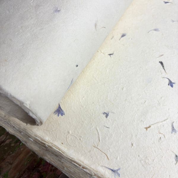 Lokta Craft & Papel de Regalo 51x76cm – Pétalo de aciano