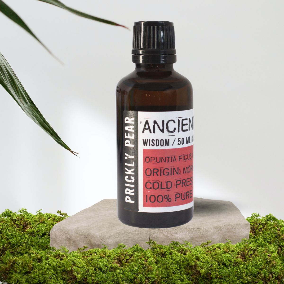 Fabricante de Óleos Base 50 ml