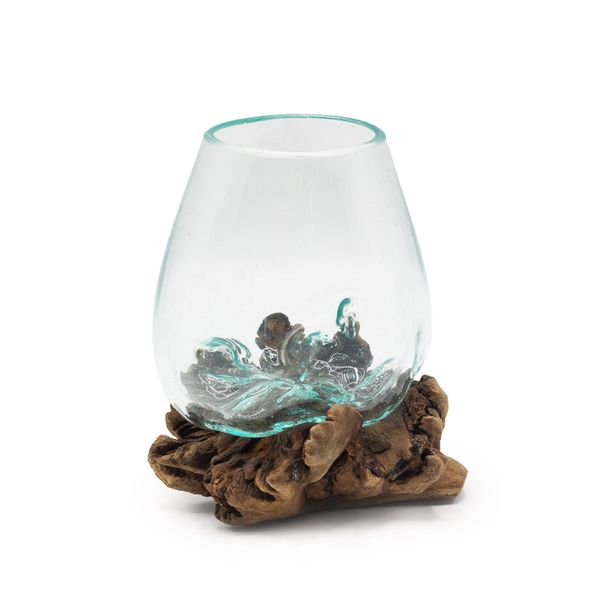 Posuda od Stakla na Rijetkom Parazitskom Drvu - Velika