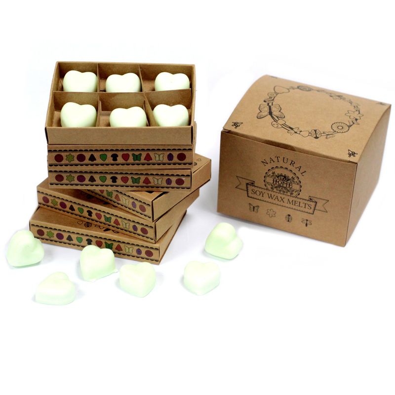Boîte de 6 Fondants en Cire Soja -  Pomme Épicée