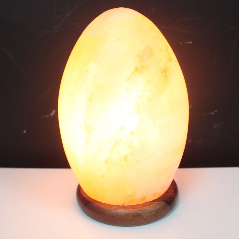 Lampe de Sel de l'Himalaya - Oeuf base en Bois