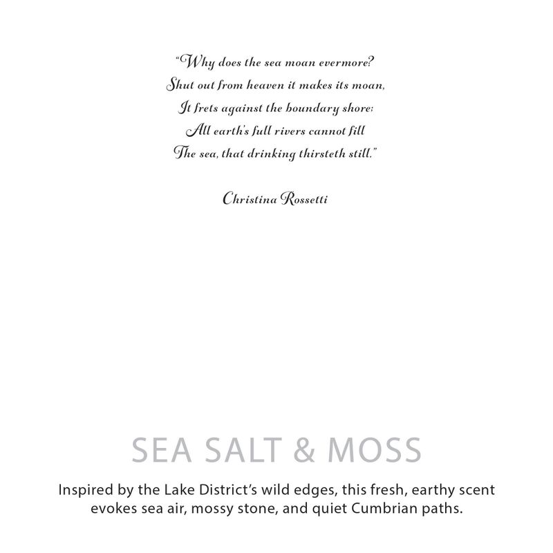Agnes + Cat Extra Large  Crackle Soy Candle - Seasalt & Moss