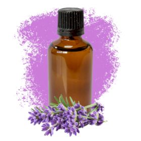 Lavande 50ml - Sans étiquette