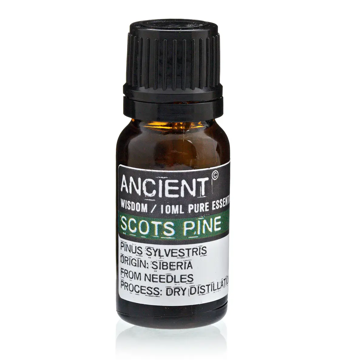 10 ml Pine Sylvestris (Scots Pine) Essential Oil — Essential Oils · GlowDuty apothecary
