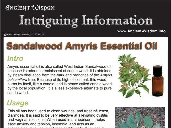 Sandalwood Amayris Essential Oil Info