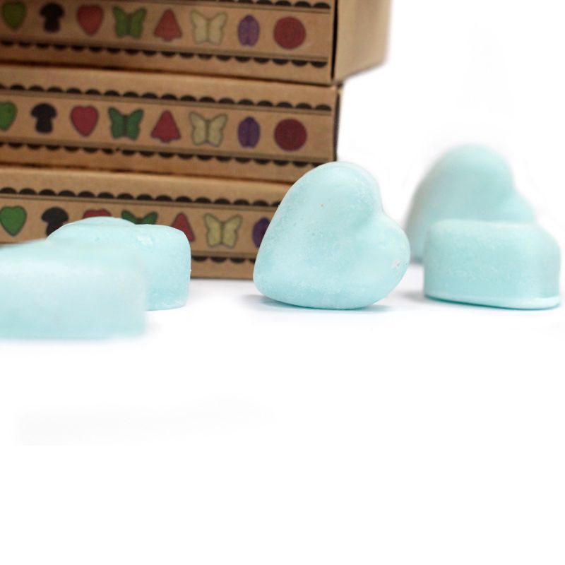 Boîte de 6 Fondants en Cire Soja - Nagchampa