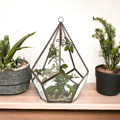 Terrário de vidro - Grande pentagonal