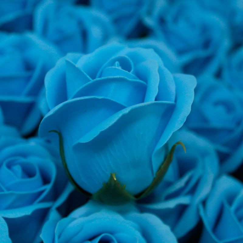 Roses de Savon  pour Bouquet- Medium/Bleu Ciel