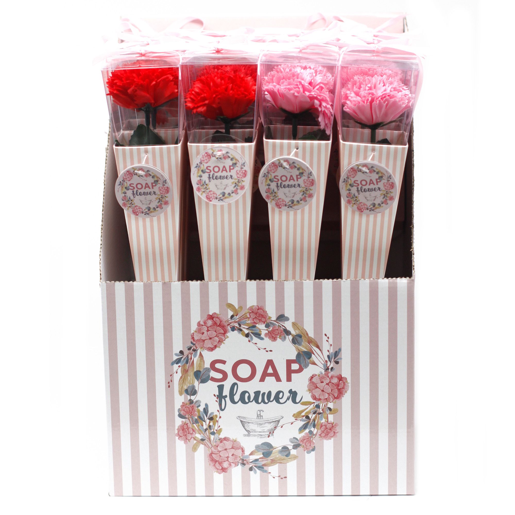 Redo att Säljas Tvålblommor - Mellanstor Nejlika