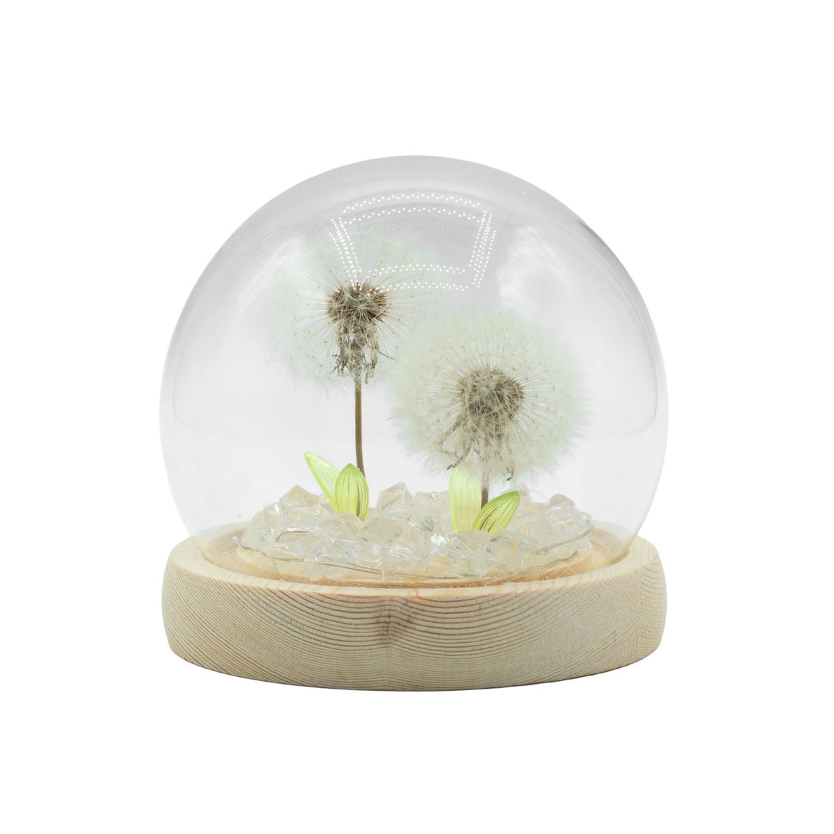 Cúpula de jardim Floral Glow - 2 dentes-de-leão - LED USB
