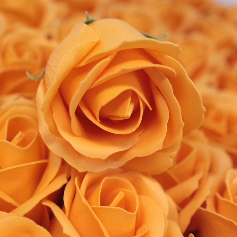 Roses de Savon  pour Bouquet- Medium/Abricot