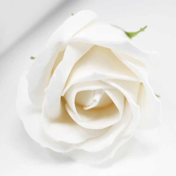 Roses de Savon  pour Bouquet- Medium/Blanc