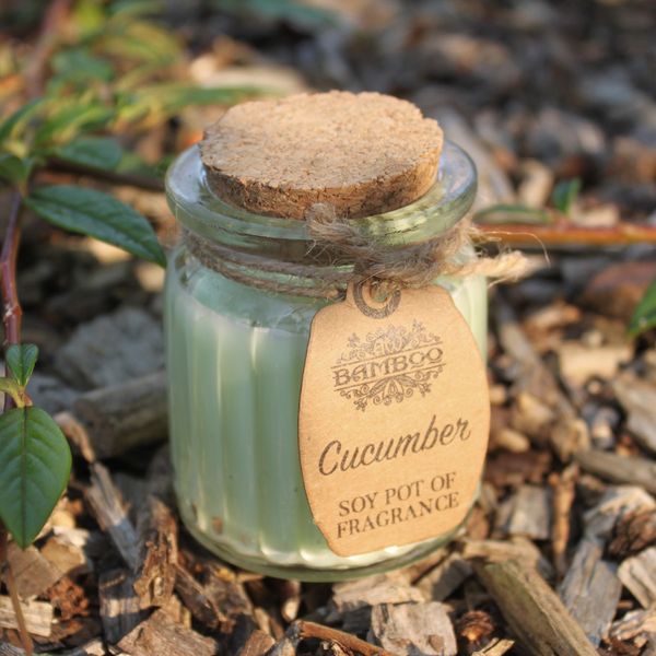 Bougies en pot à la cire de soja - Concombre