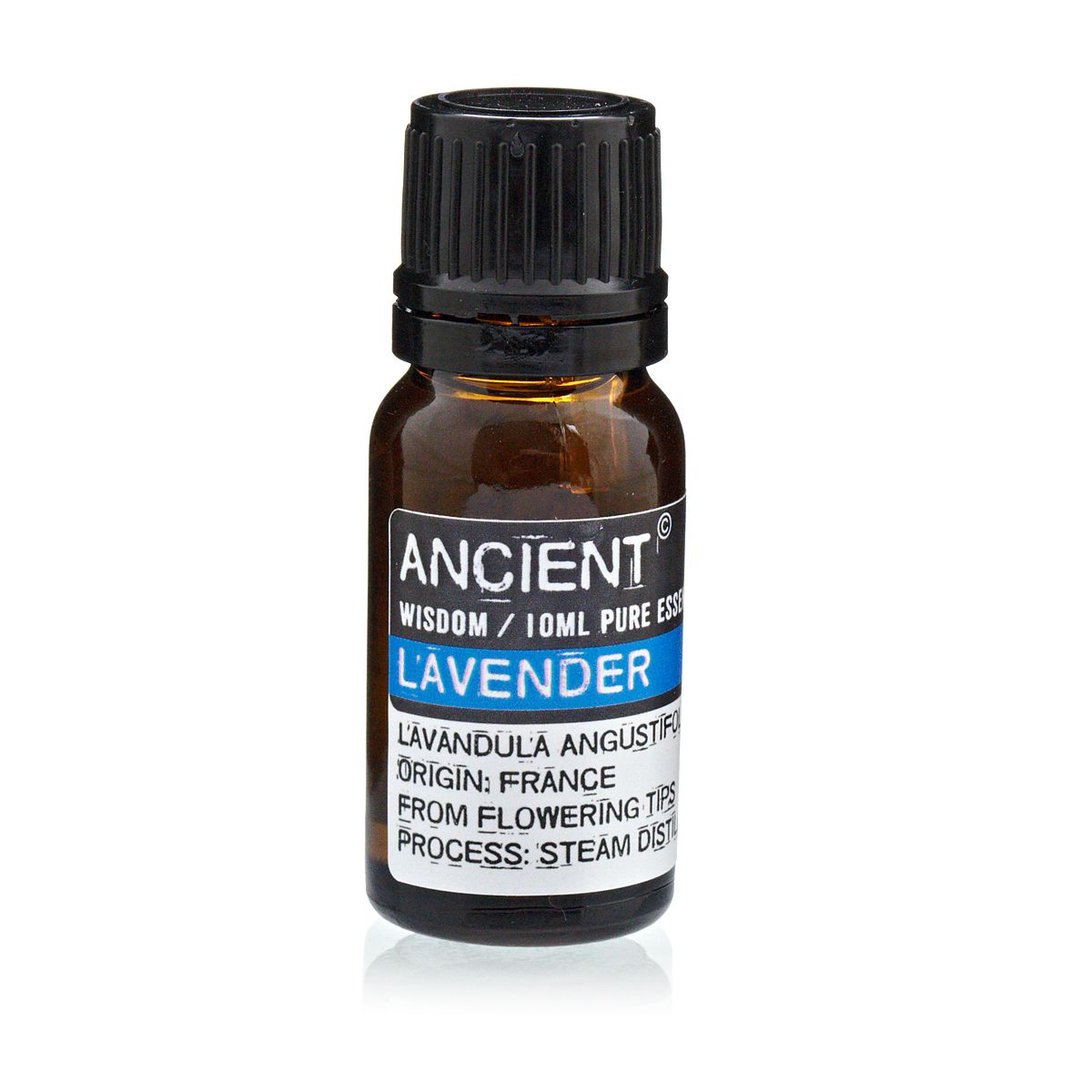 Set of 6 Lavender Essential Oils in Wooden Box