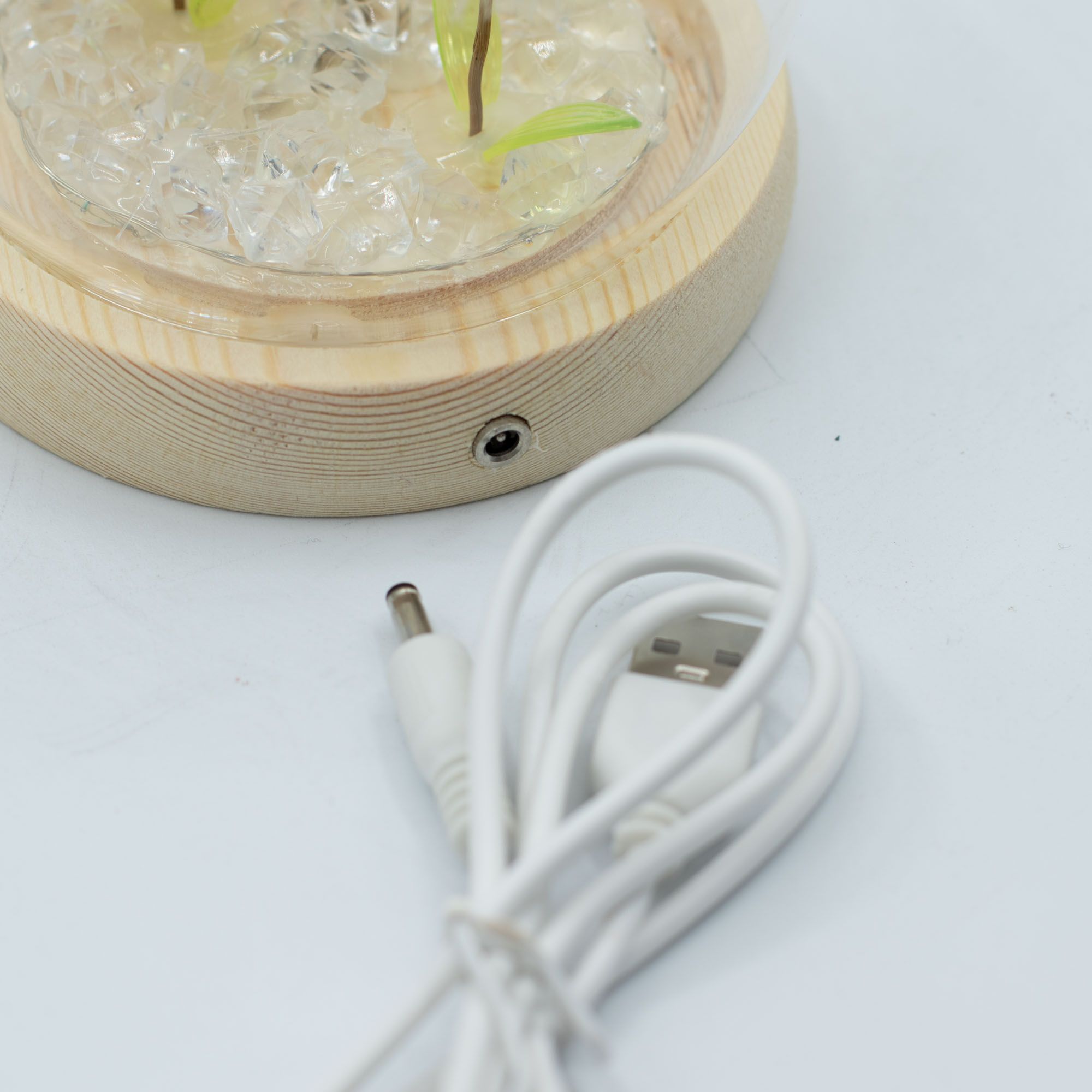 Lysande Glaskupa med Blommor - 2 Maskrosor - LED USB