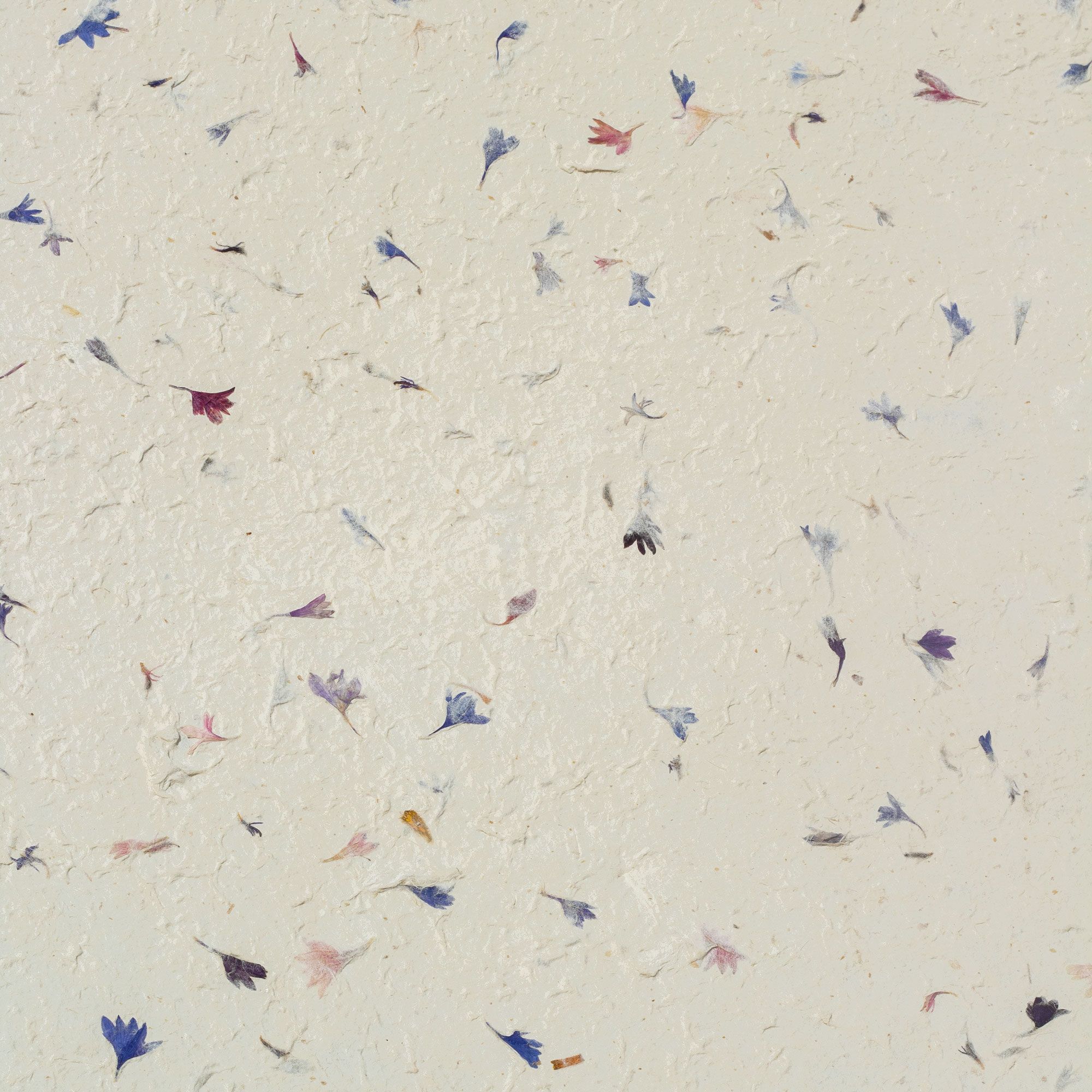 Lokta Craft / Wrapping Paper (51x76cm) - Cornflower