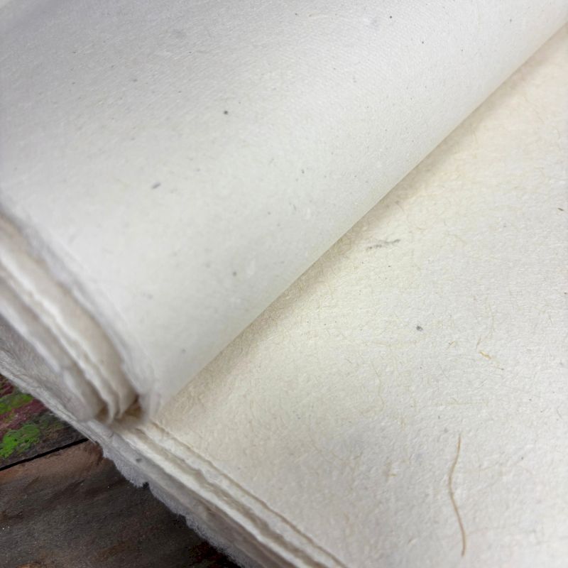 Lokta Craft / Papel de presente (51x76cm) - 5g de papel liso