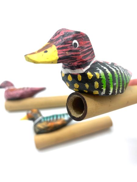 Sifflets Canard - 4 assortis