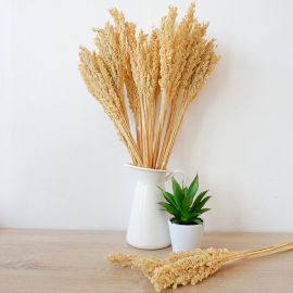 Cantal Grass Bunch