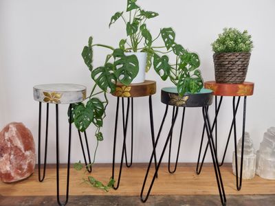 Soportes para plantas de madera Albasia