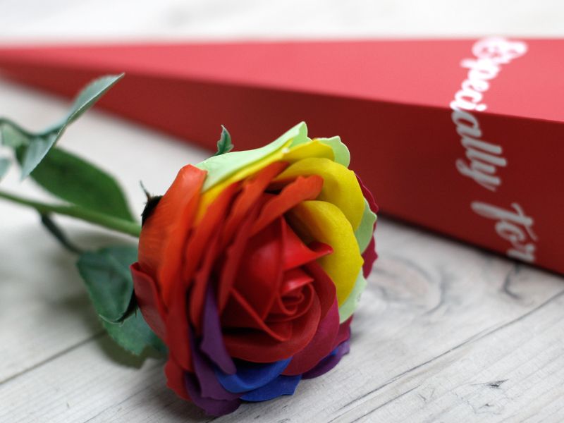 Rose Unique Multicouleur