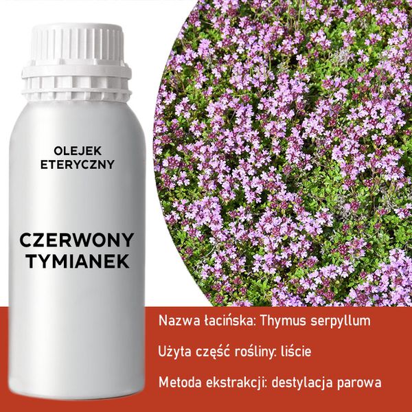 Olejek Eteryczny 0,5 kg - Czerwony Tymianek