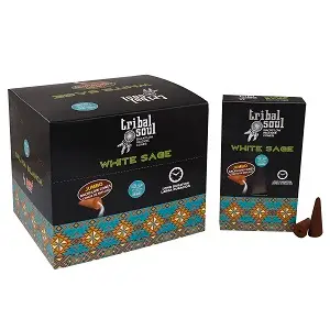 Tribal Soul Backflow Incense - White Sage — Incense · GlowDuty apothecary