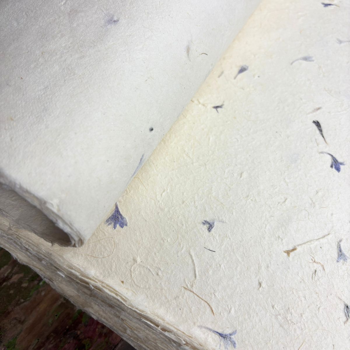 Lokta Craft & Papel de Presente 51x76 cm – Pétala de centáurea