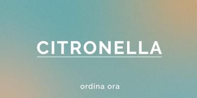 Grossista B2B: Prodotto alla Citronella