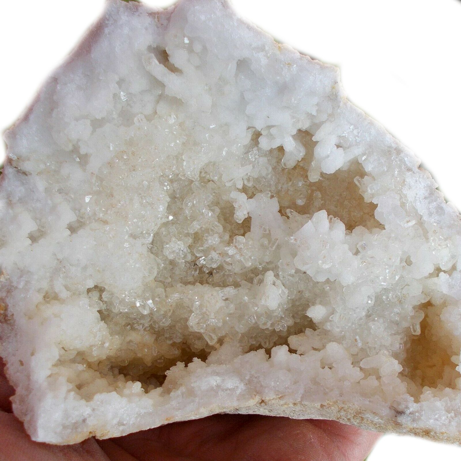 Image 11