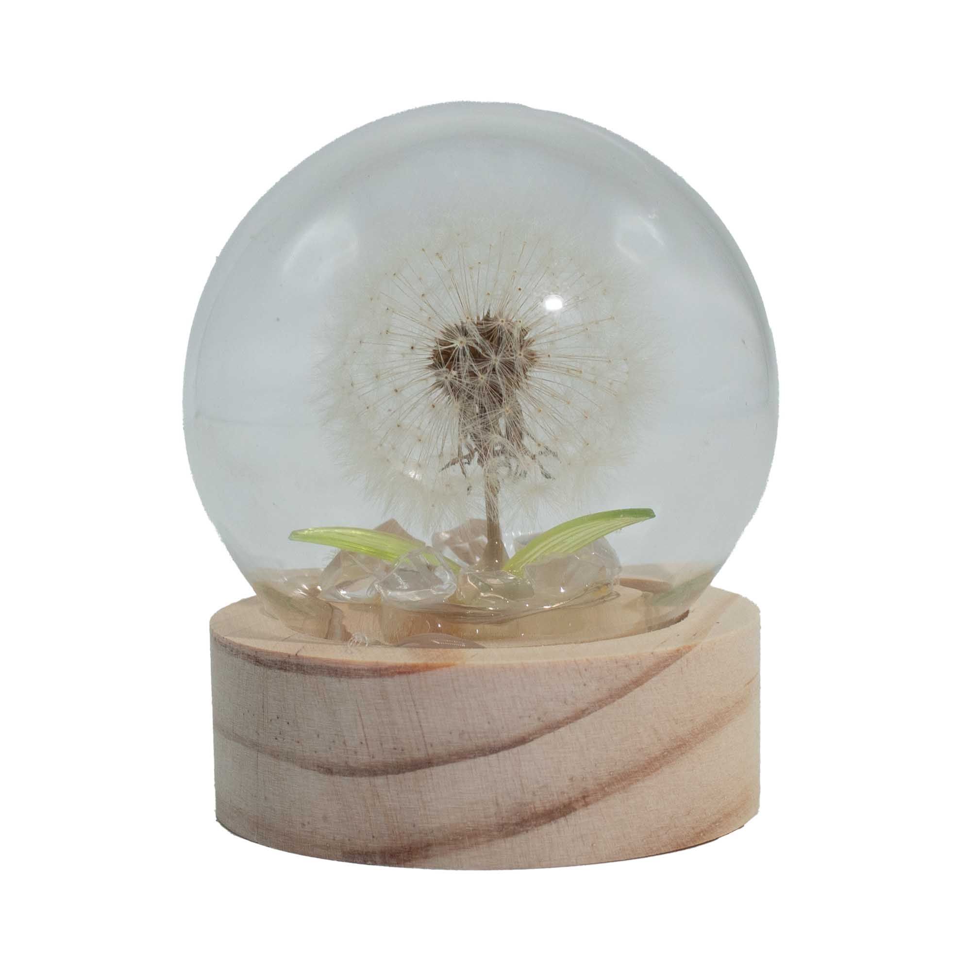 Dandelion Dome with LED Light & Wooden Base - Battery Powered