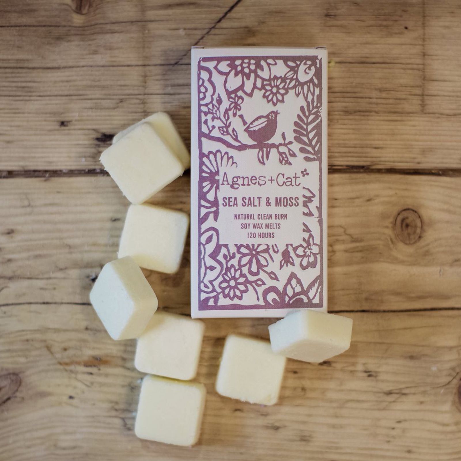 Kutija s 8 Mirisnih Voskova - Morska Sol + Mahovina