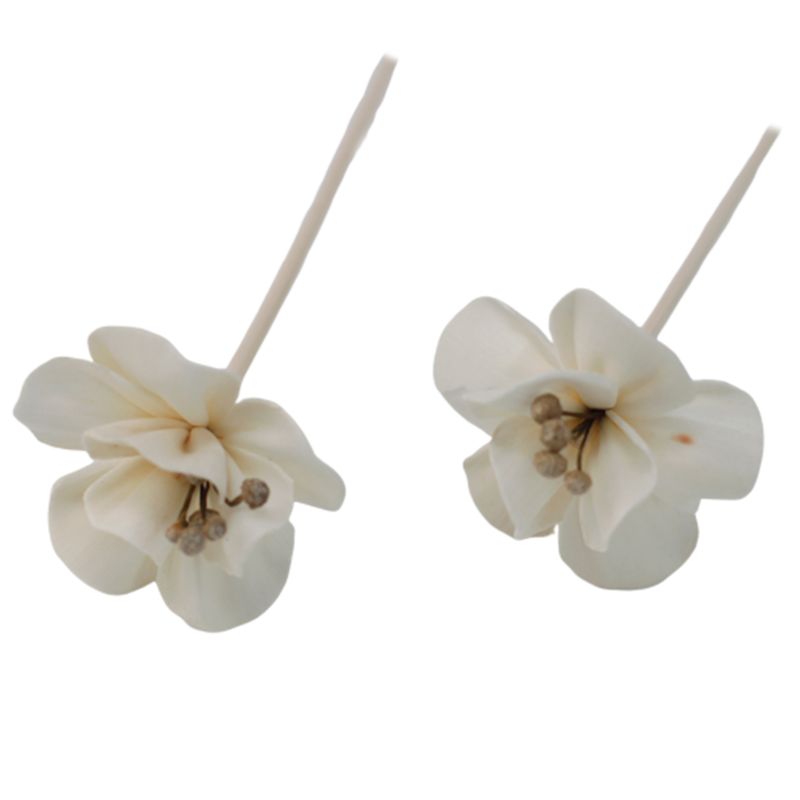 Diffuseurs Naturels Fleurs - Lys Sur Bâtonnets