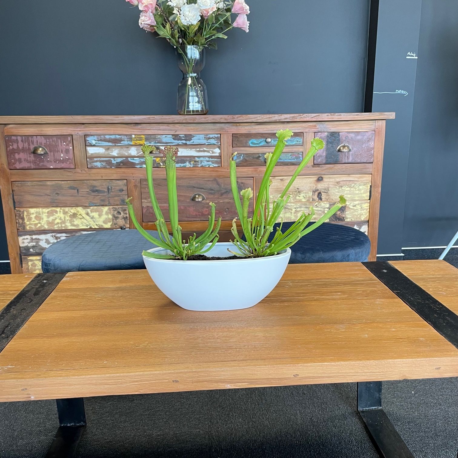 Mesa de centro 120 cm