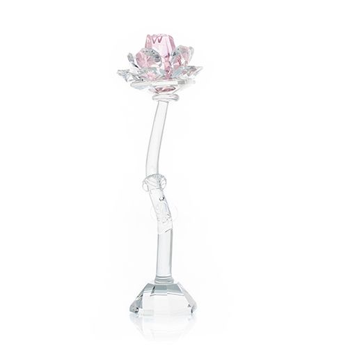 Rose - Rose